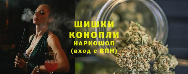 индика Новозыбков