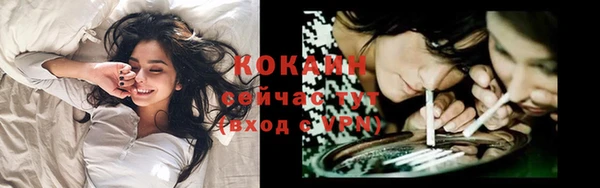 бошки Новодвинск
