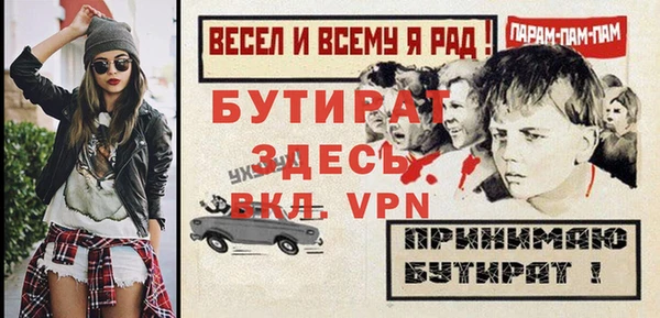 индика Новозыбков