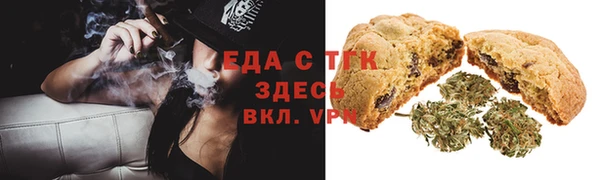 индика Новозыбков