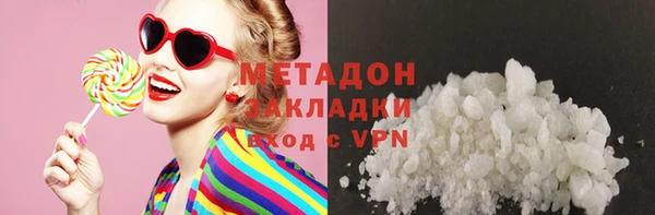 индика Новозыбков