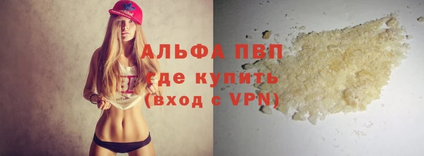 индика Новозыбков