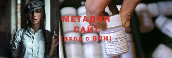 индика Новозыбков