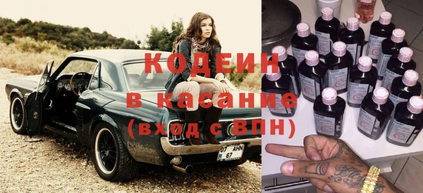 индика Новозыбков