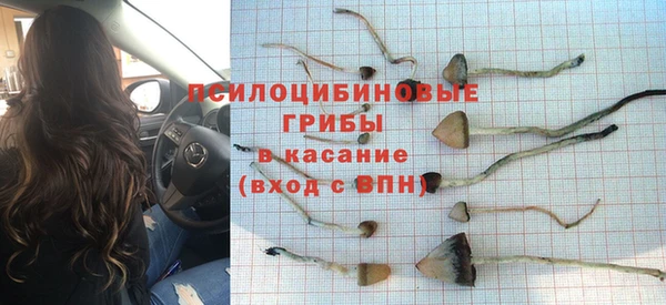 mdma Нязепетровск
