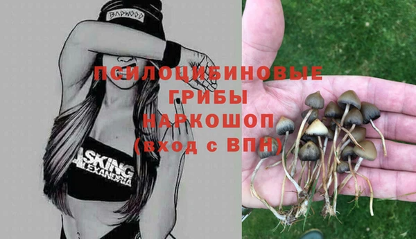 дмт Новокубанск