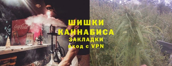 бошки Новодвинск