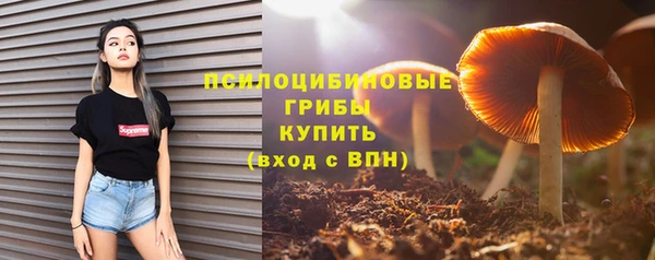 МДПВ Няндома