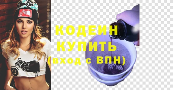 индика Новозыбков