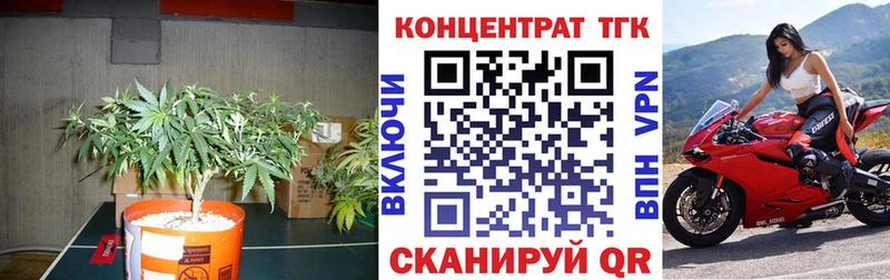 цена   Кандалакша  блэк спрут онион  ТГК THC oil 
