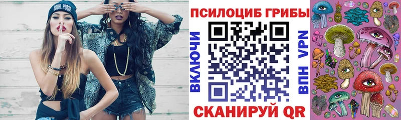 Галлюциногенные грибы GOLDEN TEACHER цена Кандалакша