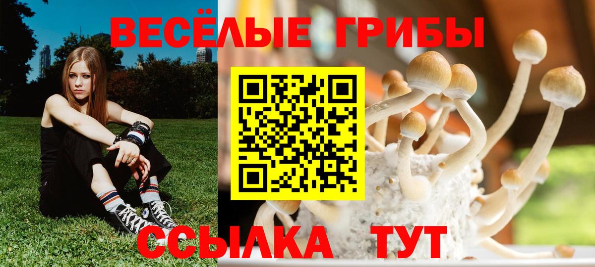 Кандалакша  Псилоцибиновые грибы MAGIC MUSHROOMS  Вход с VPN  Галлюциногенные грибы GOLDEN TEACHER 