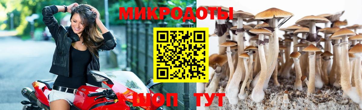 Псилоцибиновые грибы мухоморы Кандалакша