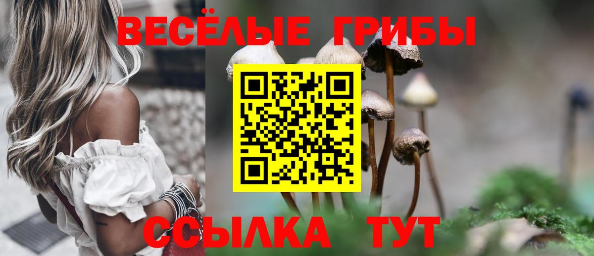 где найти наркотики  Кандалакша  Галлюциногенные грибы мухоморы 